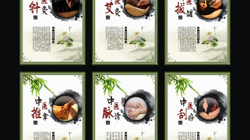 中医康复理疗师证：医院认可背后的资质与标准