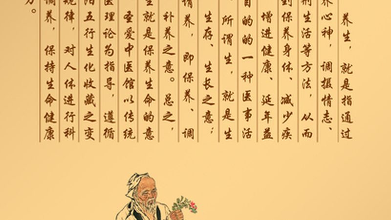 养生馆加盟调研报告：如何精准定位与评估？**